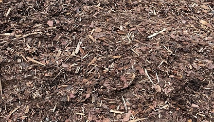 Rindenmulch (grob u fein)
