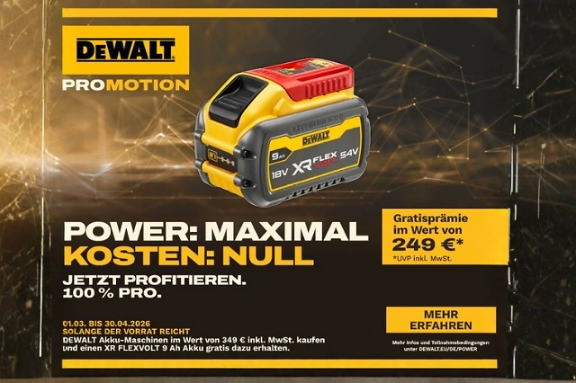 Dewalt Power Maximal Akku Aktion