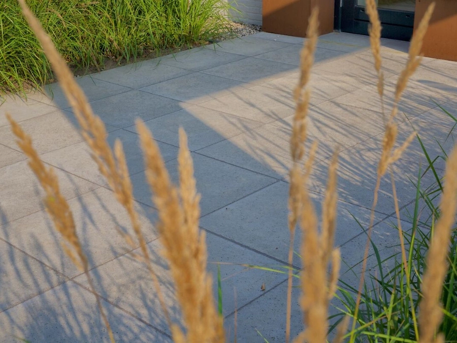 Schellevis Platten 4 900x675 px