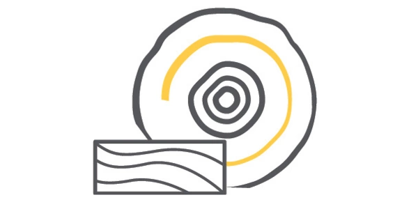 Holz Whatsapp 600x300 px