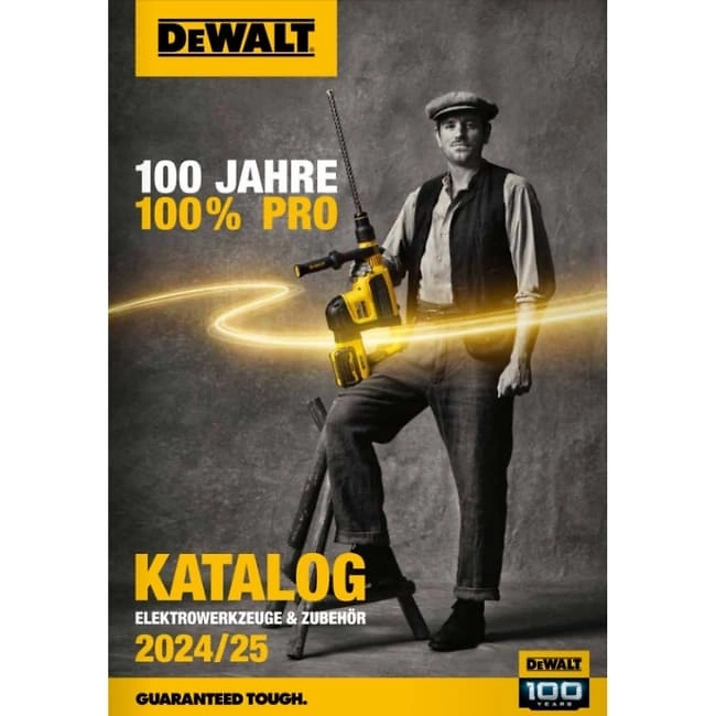 DeWalt Katalog 2425 650x650 px