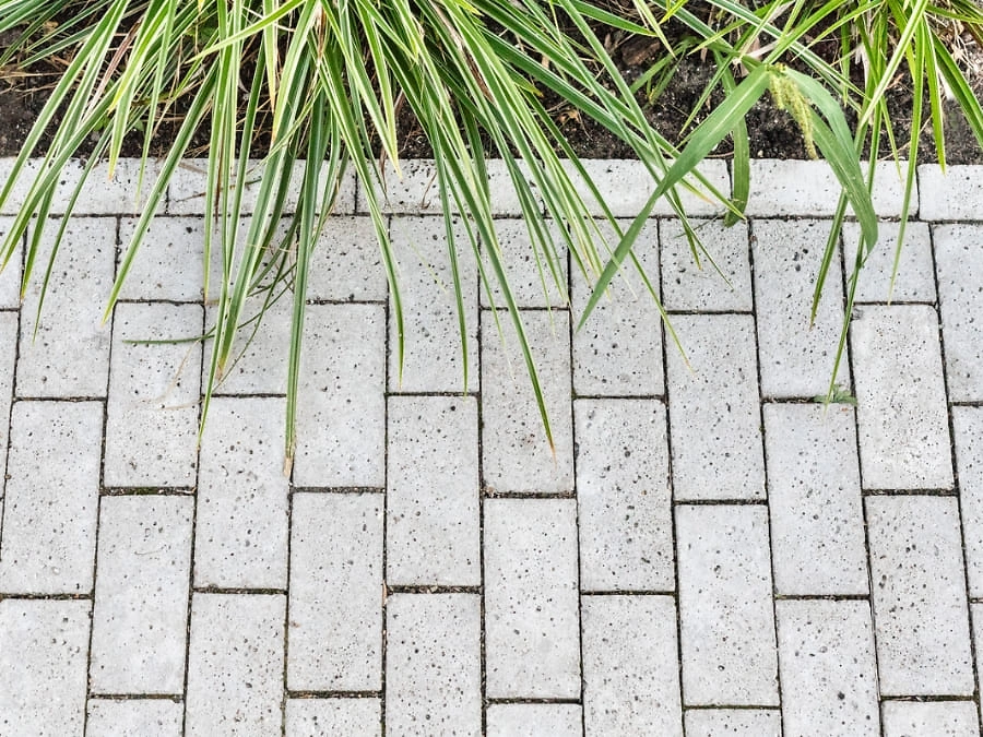 Schellevis Galerie 3 900x675 px