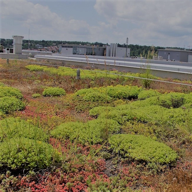 Kachelbild Gründach