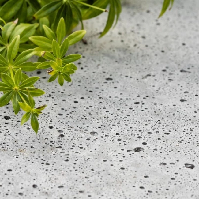 Nahaufnahme Schellevis Oberfl&auml;che