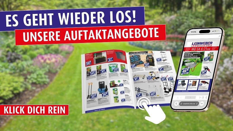 Unsere Auftaktangebote