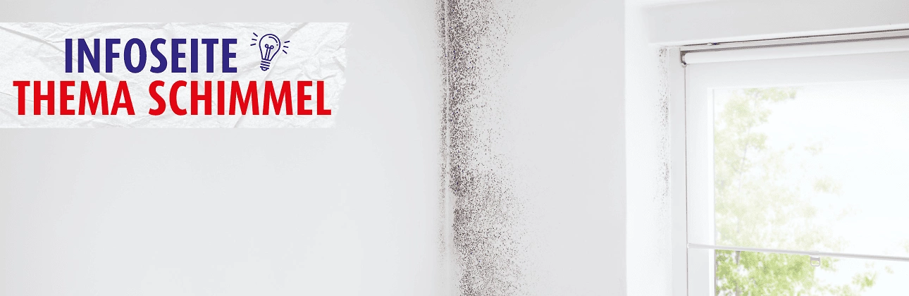 Schimmebek&auml;mpfung 1290x420 px