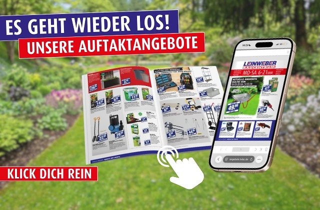 Unsere Auftaktangebote