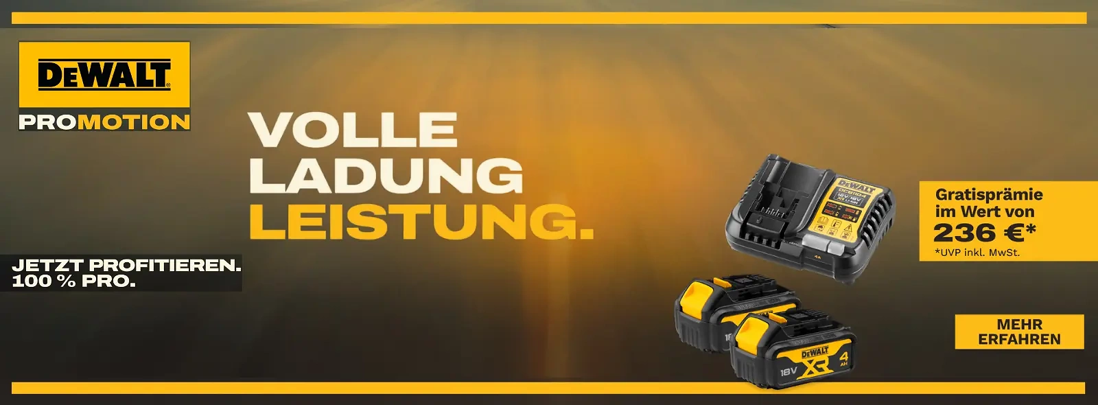 Dewalt Aktion Volle Ladung Leistung