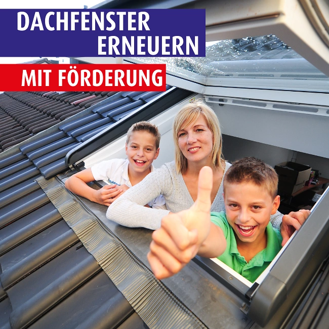 Energetische Sanierung Dachfenster png