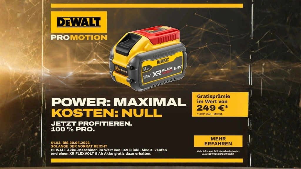 Dewalt Power Maximal Akku Aktion