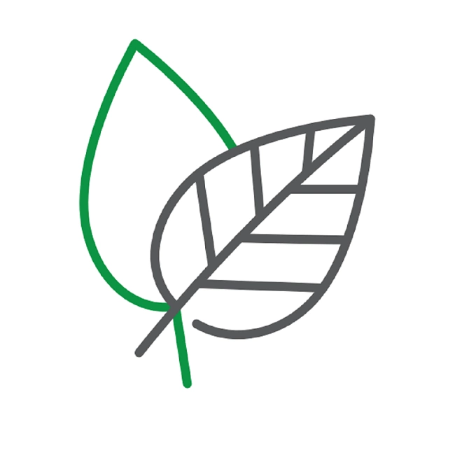 Icon Gala Qudratisch