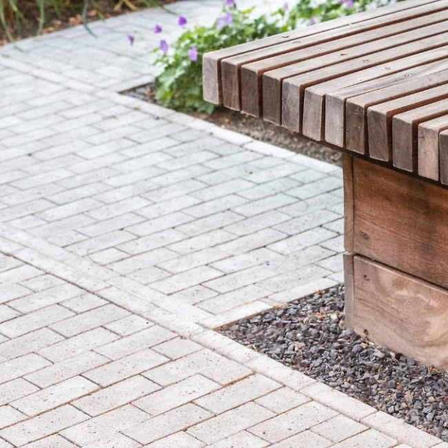 Schellevis 900x675 px