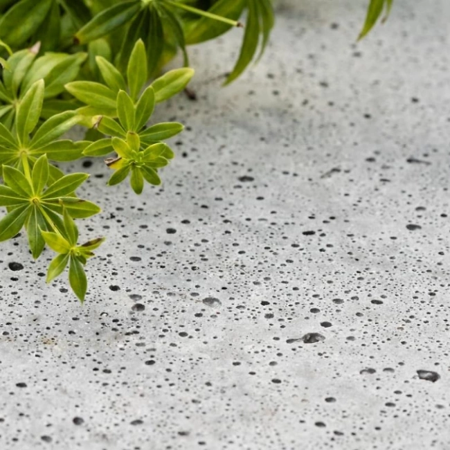 Schellevis Platten 2 900x675 px