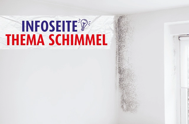 Schimmebek&auml;mpfung 640 x 420 px