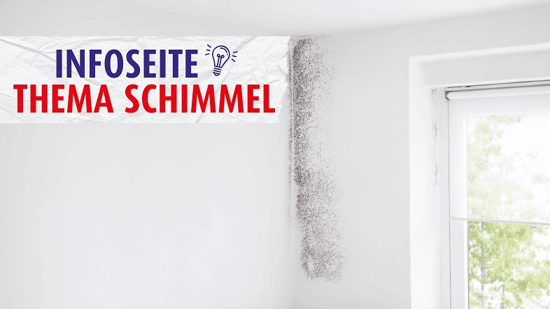 Schimmebek&auml;mpfung 786 x 442 px