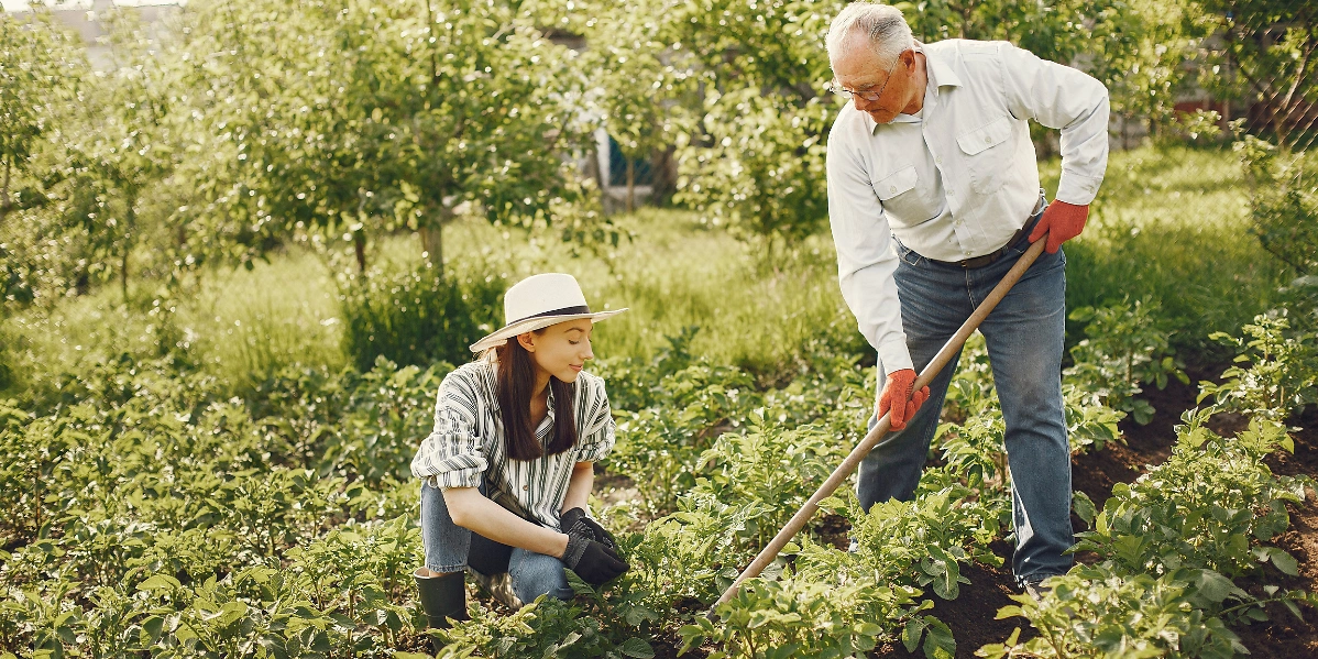 Gartenarbeit auf dem Feld
