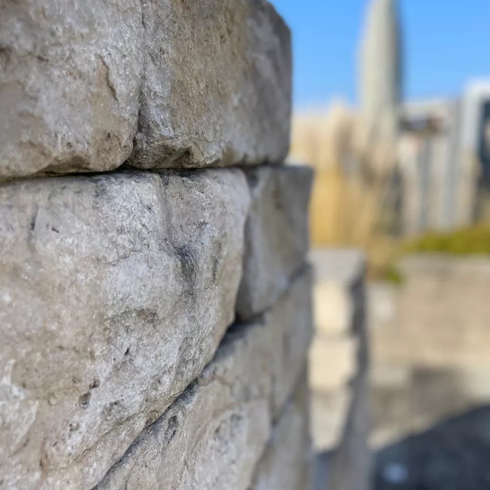 Galerie Mustergarten 2 1000x1000 px 1