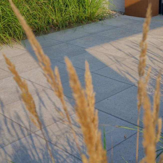 Schellevis Platten 4 900x675 px