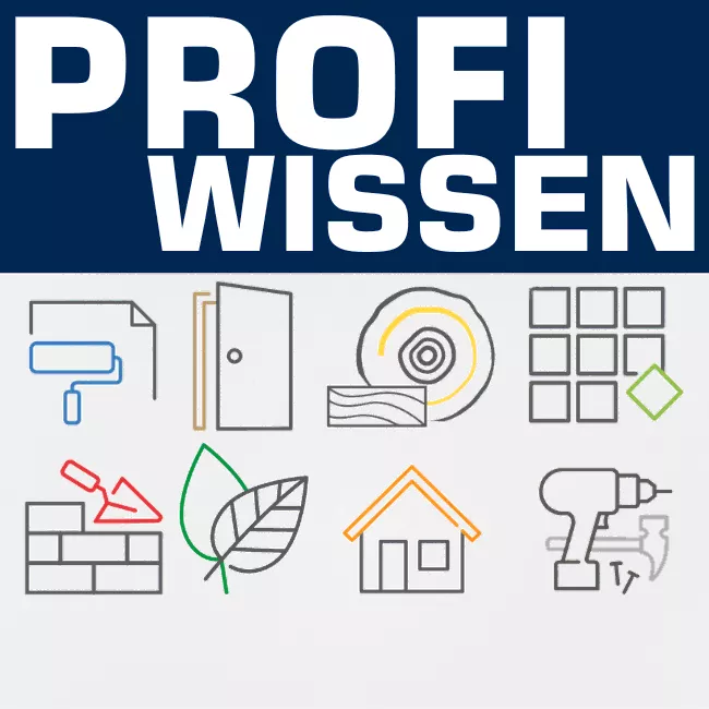 Profi Wissen