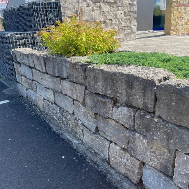 Muschelkalk Mauersteine 20er grau/braun Muschelkalk Mauersteine 20er grau/braun