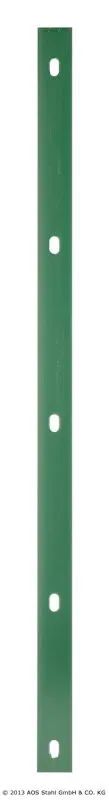 \\10.1.19.34\Stammdaten Pflege\AOS Stahl Zauntechnik - 701904\1009002 Flachleiste f&uuml;r Pfosten Typ A RAL 6005 moosgr&uuml;n\gr&uuml;n.jpg