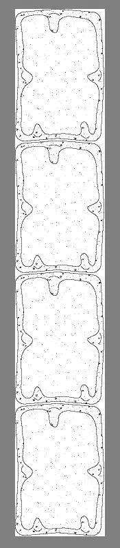 Betonrechteckpalisade Rustikal