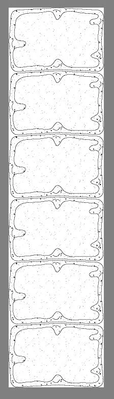 Betonrechteckpalisade Rustikal