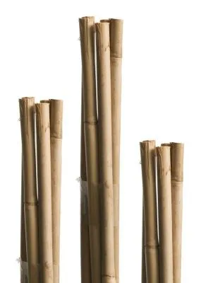 Tonkinst&auml;be 120 cm, 8/10 mm, Bund 5
