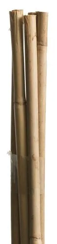 Tonkinst&auml;be 150 cm, 12/14 mm