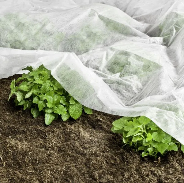 Garten-Vlies BASIC 17g/m&sup2; 10x1,5m