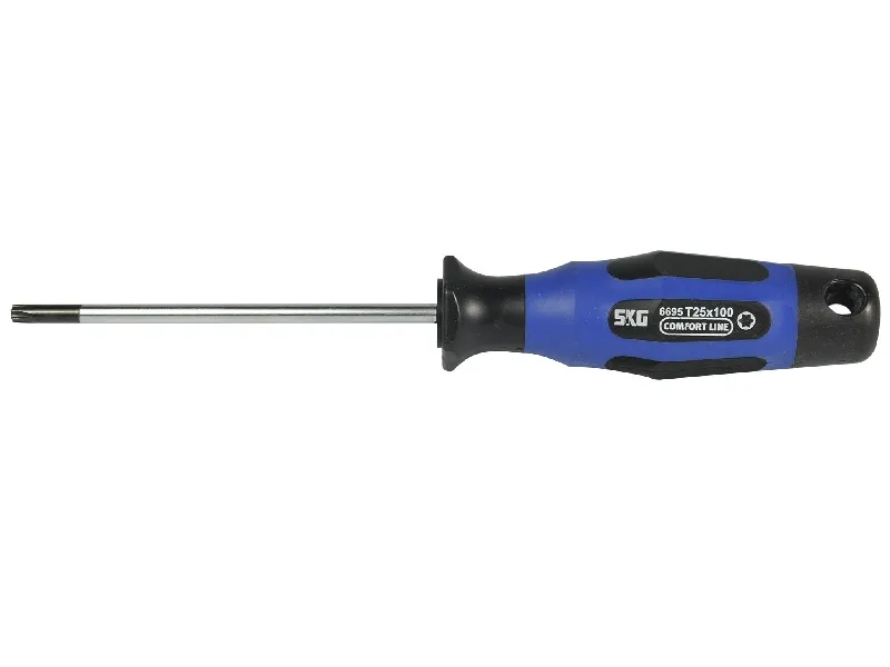 Torx-Schraubendr. T20