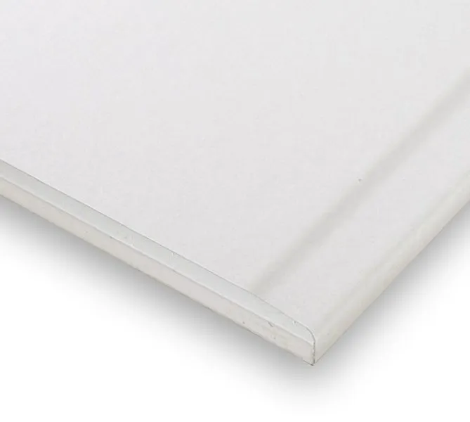 Rigips Gips-Feuerschutzpl. "Die Dicke"