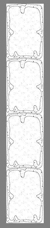 Betonrechteckpalisade Rustikal