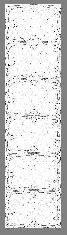 Betonrechteckpalisade Rustikal