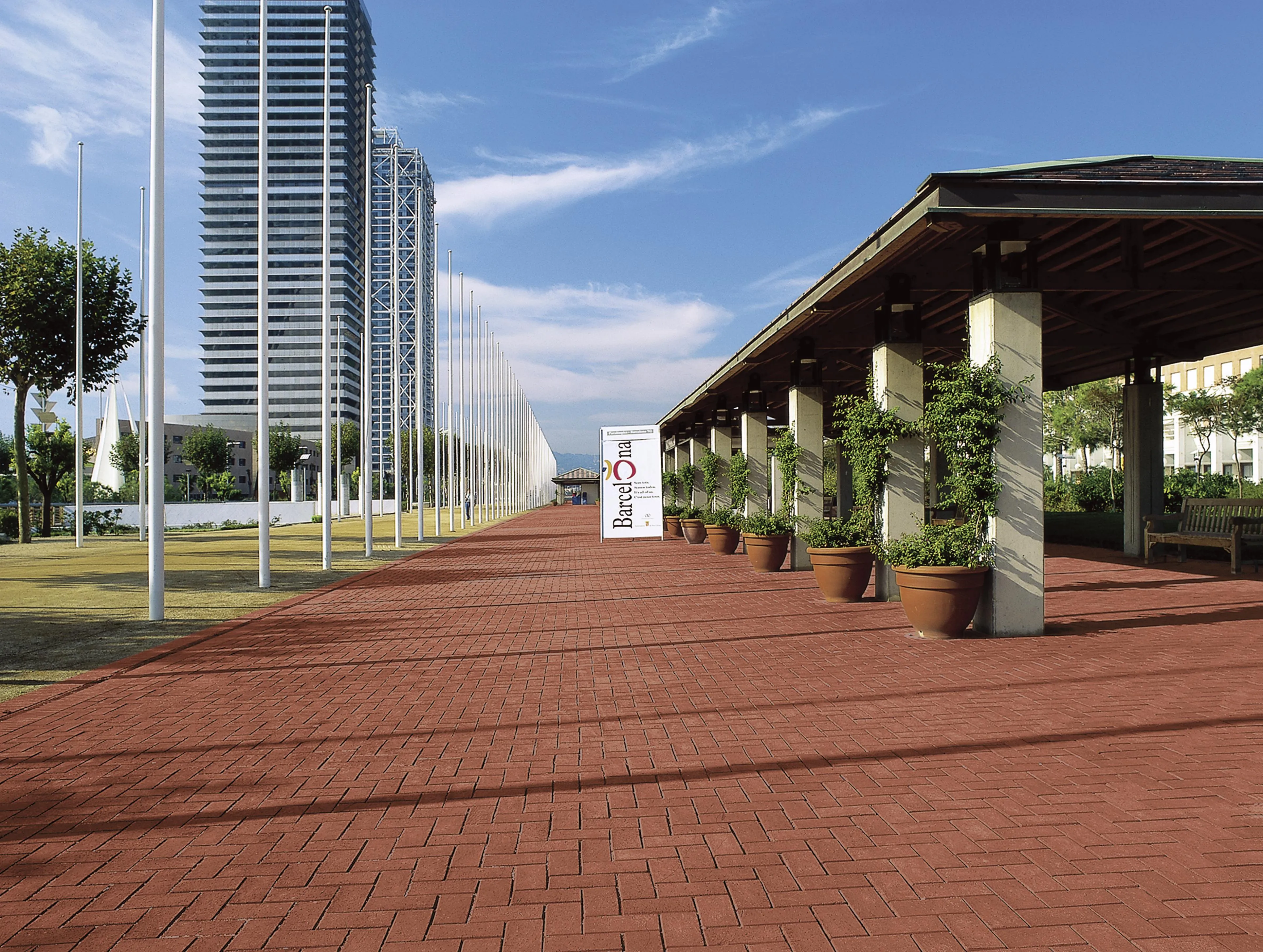 Pflasterklinker 200x100x52mm