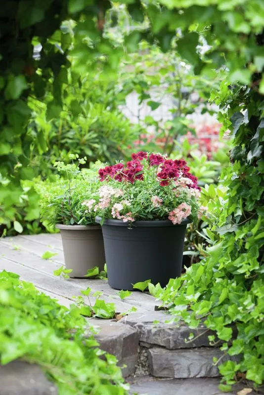 Blumentopf Cylindro anthrazit 21,5 L