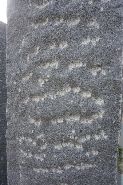 \\10.1.19.34\Stammdaten Pflege\Seltra\1988840 Granit-Palisade Gala Rustique+ 8x20x50 cm anthrazit\Primär.jpg