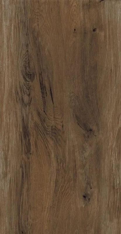 EL Gran Foresta Scuro