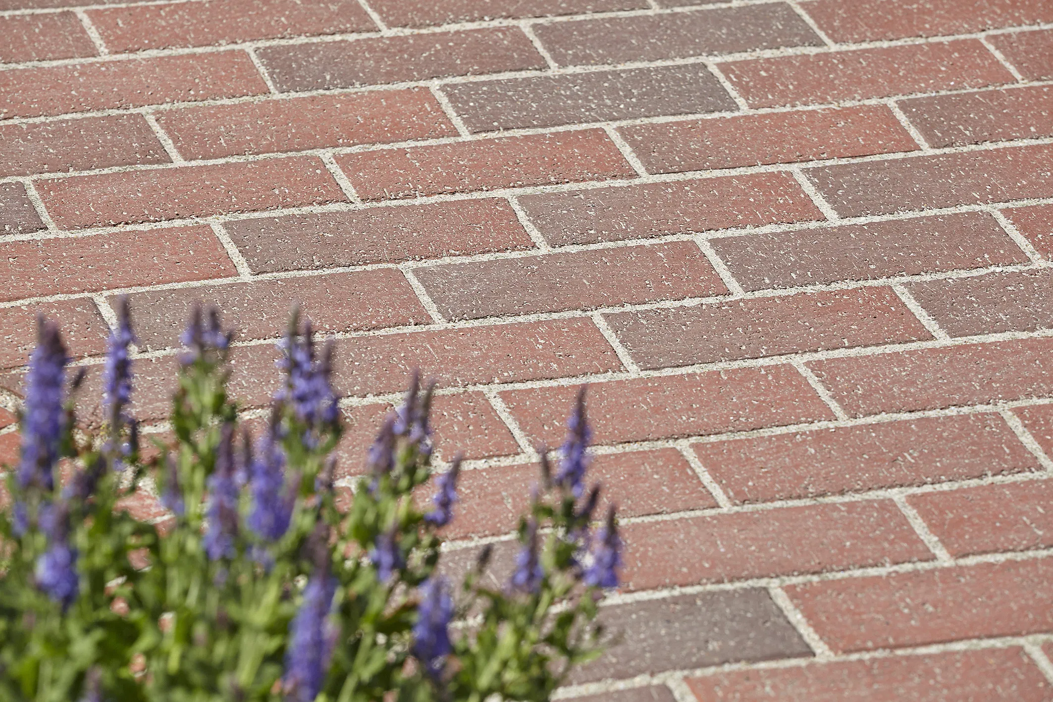 \\10.1.19.34\Stammdaten Pflege\Wienerberger\2004618 Pflasterklinker 220x108x52 mm Helgoland rotblaubunt\Leinweber Baucentrum Pflasterklinker 1.jpg