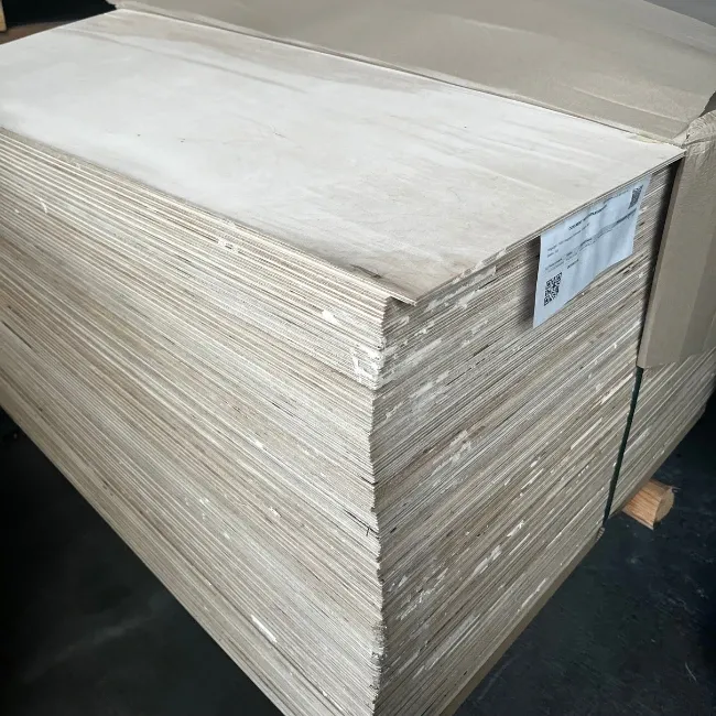 \\10.1.19.34\Stammdaten Pflege\Holz Jung Kirchhain - 703418\2004842 Brike Rohsperrholz\29.webp