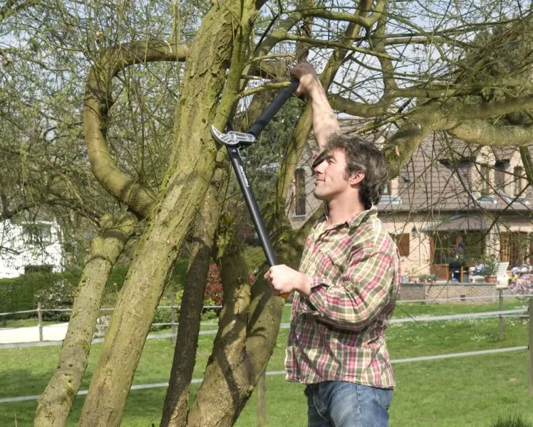 Amboss-Getriebeastschere L