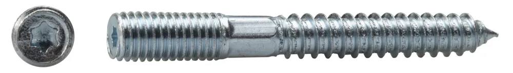 \\10.1.19.34\Stammdaten Pflege\Dresselhaus - 702745\2013393 Stockschrauben I-Stern galv 8x50 mm\2231-001_2.jpg