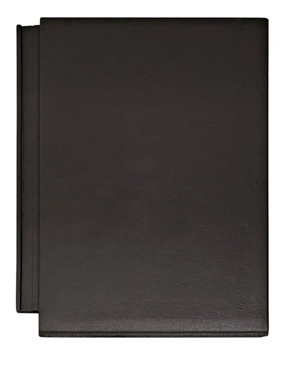 Braas Tegalit Aerlox Protegon matt