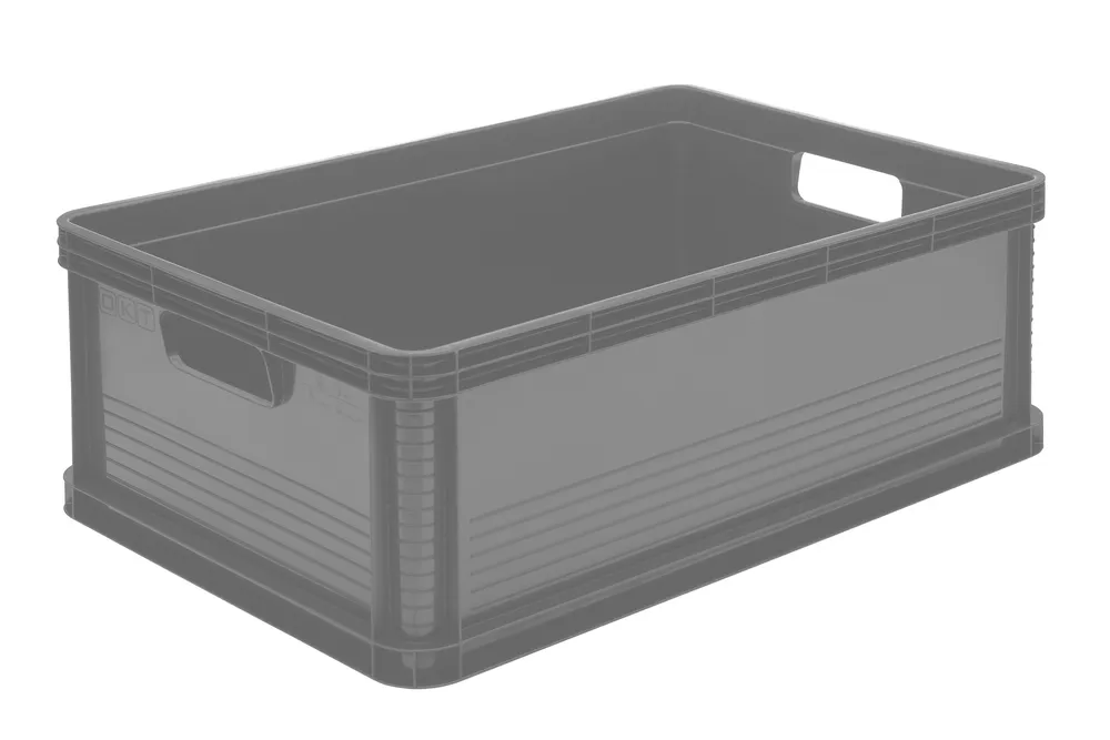 Transportbox Robert 45l nordic grey