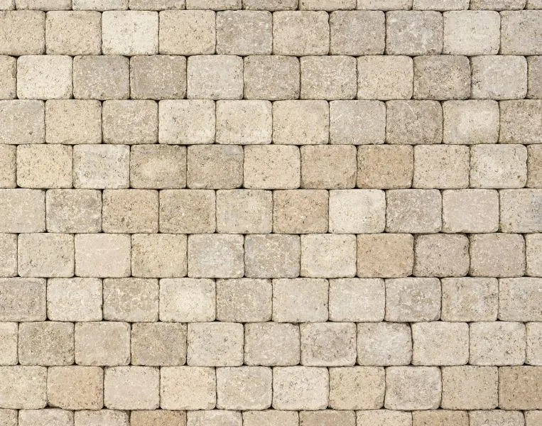 FCN Tegula Variiert 8cm
