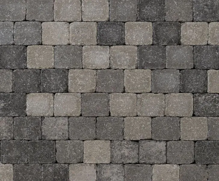 FCN Tegula Variiert 8cm