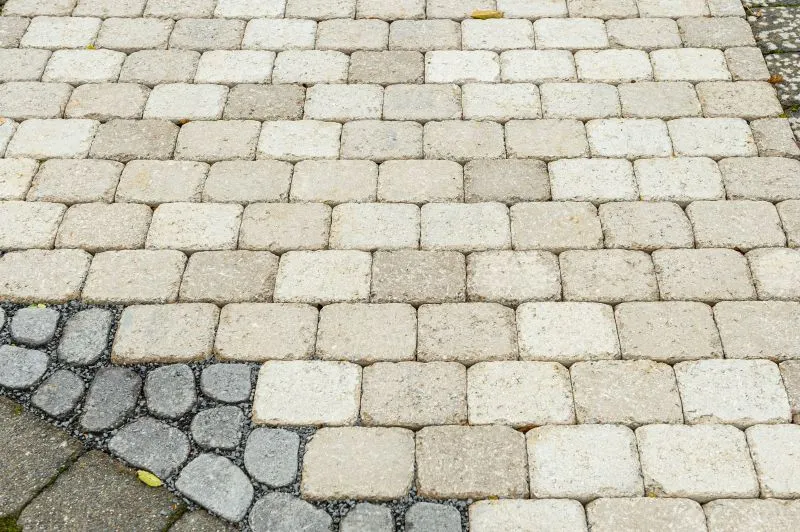 FCN Tegula Variiert 8cm