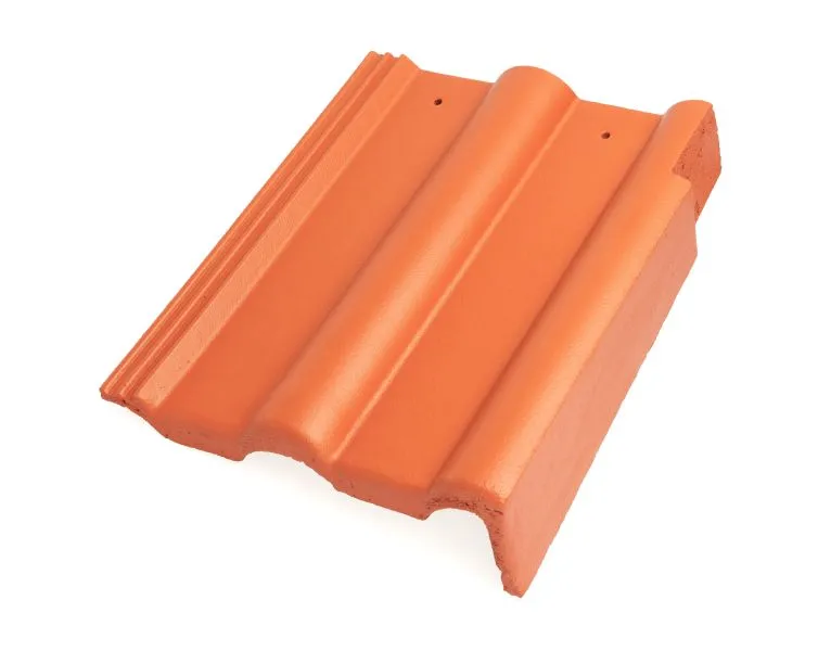 Braas FrankfurterPf. Protegon seidenmatt