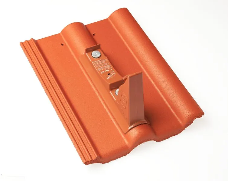 Braas FrankfurterPf. Protegon seidenmatt