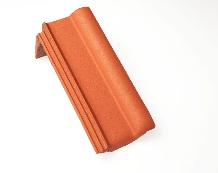 Braas FrankfurterPf. Protegon seidenmatt